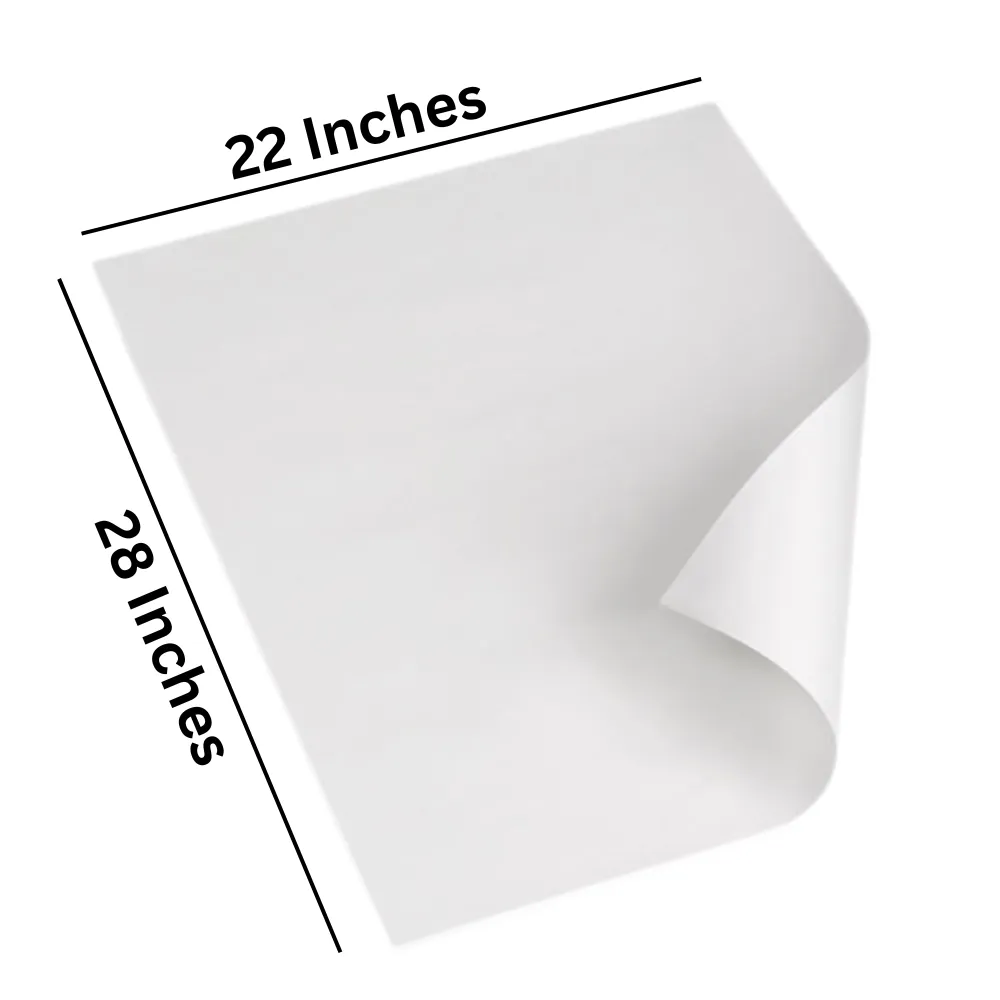 White Chart Paper | Set of 10 | A1 Size | Pastel Sheet | Poster Sheets | 220 GSM Paper | Unruled Paper | Plain Paper | Art and Craft Material view 7